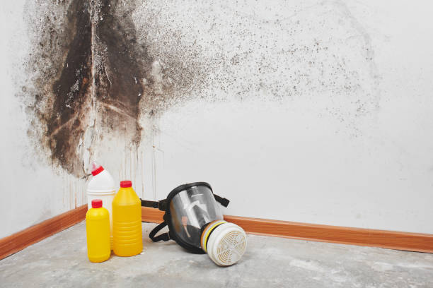 Crawl Space Mold Removal in Marion, WI