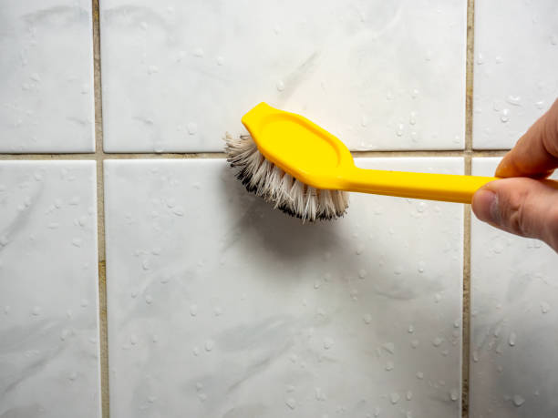 Best Mold Removal Company Near Me  in Marion, WI
