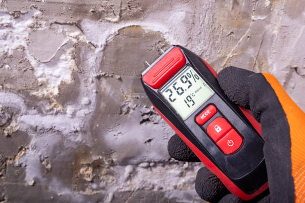 Best Mold Removal Near Me  in Marion, WI