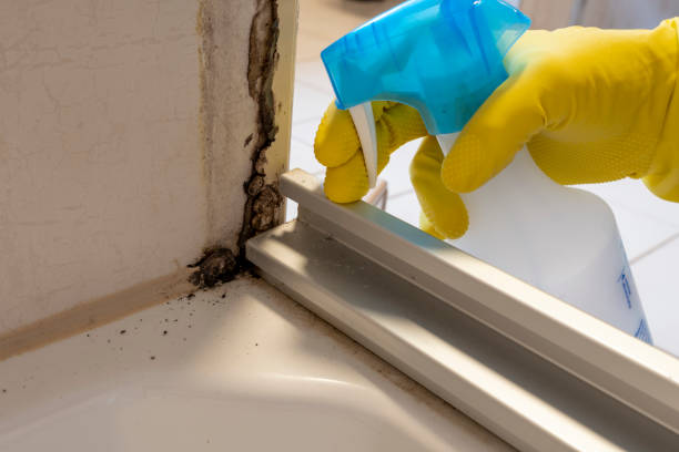 Best Mold Cleaning Services  in Marion, WI