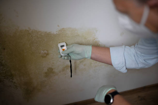 Best Mold Testing  in Marion, WI