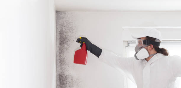 Best Professional Mold Removal  in Marion, WI