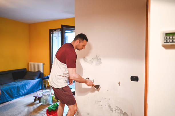 Best Home Mold Removal  in Marion, WI