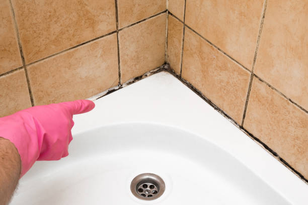 Best Residential Mold Removal  in Marion, WI